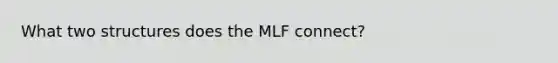 What two structures does the MLF connect?