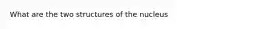 What are the two structures of the nucleus