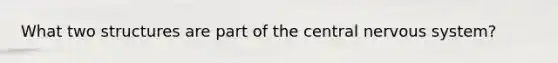 What two structures are part of the central nervous system?