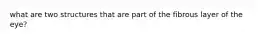what are two structures that are part of the fibrous layer of the eye?