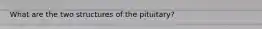 What are the two structures of the pituitary?