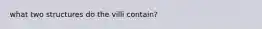 what two structures do the villi contain?