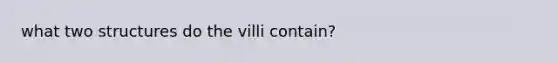 what two structures do the villi contain?