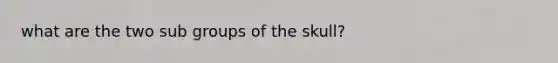 what are the two sub groups of the skull?