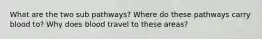 What are the two sub pathways? Where do these pathways carry blood to? Why does blood travel to these areas?