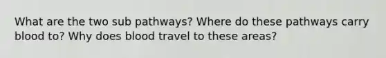 What are the two sub pathways? Where do these pathways carry blood to? Why does blood travel to these areas?