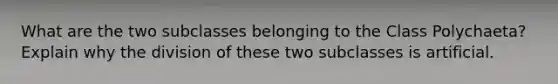 What are the two subclasses belonging to the Class Polychaeta? Explain why the division of these two subclasses is artificial.