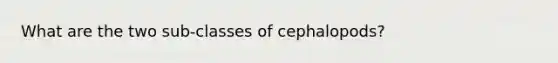 What are the two sub-classes of cephalopods?