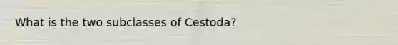 What is the two subclasses of Cestoda?