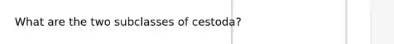 What are the two subclasses of cestoda?