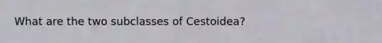 What are the two subclasses of Cestoidea?