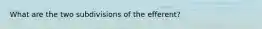 What are the two subdivisions of the efferent?
