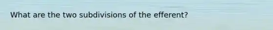 What are the two subdivisions of the efferent?