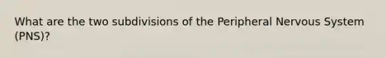 What are the two subdivisions of the Peripheral <a href='https://www.questionai.com/knowledge/kThdVqrsqy-nervous-system' class='anchor-knowledge'>nervous system</a> (PNS)?