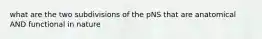 what are the two subdivisions of the pNS that are anatomical AND functional in nature