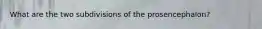 What are the two subdivisions of the prosencephalon?