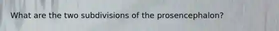 What are the two subdivisions of the prosencephalon?