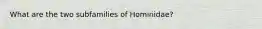 What are the two subfamilies of Hominidae?