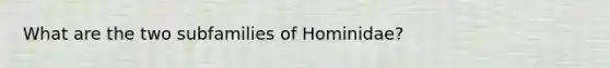 What are the two subfamilies of Hominidae?