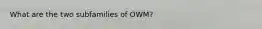 What are the two subfamilies of OWM?