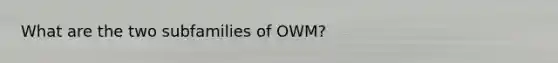 What are the two subfamilies of OWM?