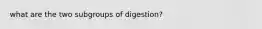 what are the two subgroups of digestion?