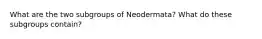 What are the two subgroups of Neodermata? What do these subgroups contain?