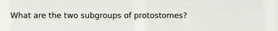 What are the two subgroups of protostomes?