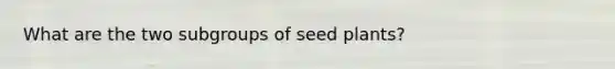 What are the two subgroups of seed plants?