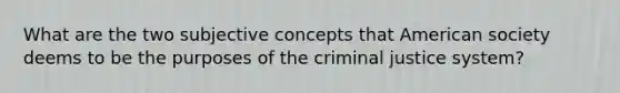 What are the two subjective concepts that American society deems to be the purposes of the criminal justice system?