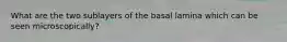 What are the two sublayers of the basal lamina which can be seen microscopically?