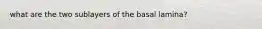 what are the two sublayers of the basal lamina?