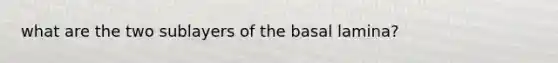 what are the two sublayers of the basal lamina?