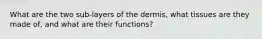 What are the two sub-layers of the dermis, what tissues are they made of, and what are their functions?