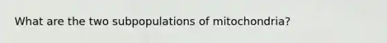 What are the two subpopulations of mitochondria?