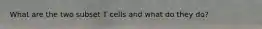 What are the two subset T cells and what do they do?