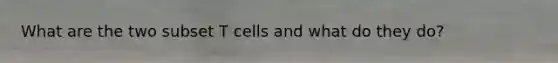 What are the two subset T cells and what do they do?