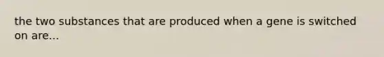 the two substances that are produced when a gene is switched on are...