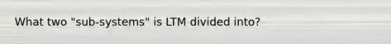 What two "sub-systems" is LTM divided into?