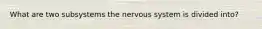 What are two subsystems the nervous system is divided into?