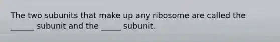 The two subunits that make up any ribosome are called the ______ subunit and the _____ subunit.