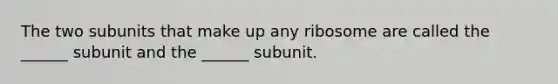 The two subunits that make up any ribosome are called the ______ subunit and the ______ subunit.