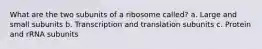 What are the two subunits of a ribosome called? a. Large and small subunits b. Transcription and translation subunits c. Protein and rRNA subunits