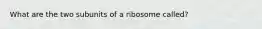 What are the two subunits of a ribosome called?