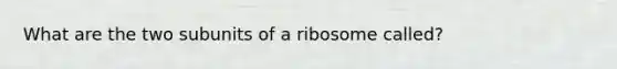 What are the two subunits of a ribosome called?