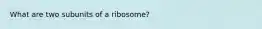 What are two subunits of a ribosome?