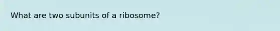 What are two subunits of a ribosome?