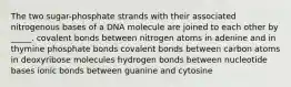 The two sugar-phosphate strands with their associated nitrogenous bases of a DNA molecule are joined to each other by _____. covalent bonds between nitrogen atoms in adenine and in thymine phosphate bonds covalent bonds between carbon atoms in deoxyribose molecules hydrogen bonds between nucleotide bases ionic bonds between guanine and cytosine