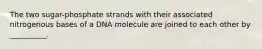 The two sugar-phosphate strands with their associated nitrogenous bases of a DNA molecule are joined to each other by __________.