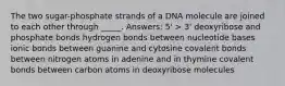 The two sugar-phosphate strands of a DNA molecule are joined to each other through _____. Answers: 5' > 3' deoxyribose and phosphate bonds hydrogen bonds between nucleotide bases ionic bonds between guanine and cytosine covalent bonds between nitrogen atoms in adenine and in thymine covalent bonds between carbon atoms in deoxyribose molecules